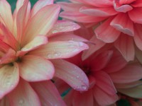 /album/bildgalleri-startsida1/dsc-2108-jpg/